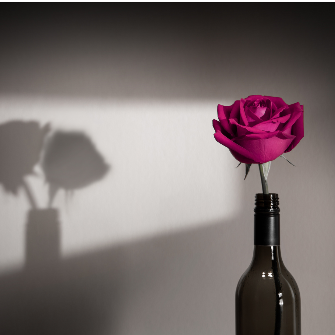 Upcycle wine bottles by crafting into flower vases.