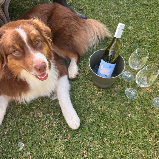 Dog friendly mudgee wine escape.